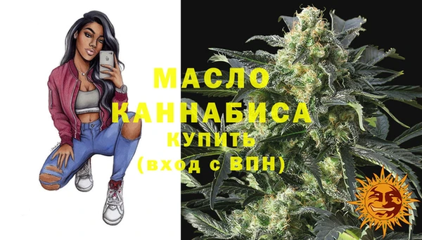 дмт Каменногорск