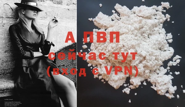 дмт Каменногорск