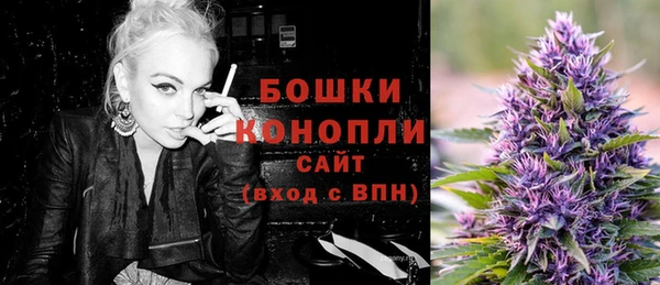 дмт Каменногорск