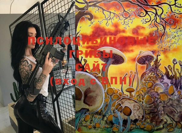 прущий лед Каменка
