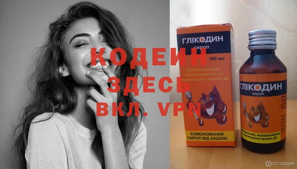 прущий лед Каменка