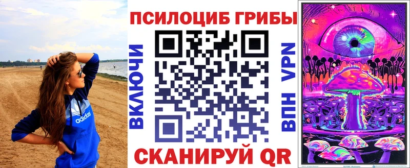 Псилоцибиновые грибы Psilocybe  Купить закладки  Верхний Уфалей 